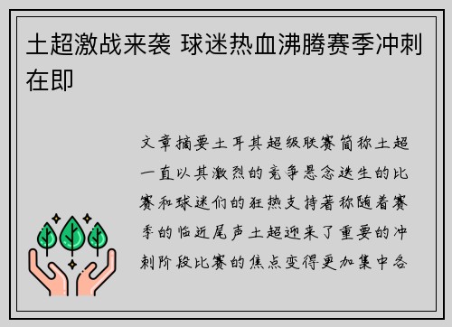 土超激战来袭 球迷热血沸腾赛季冲刺在即