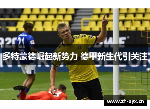多特蒙德崛起新势力 德甲新生代引关注